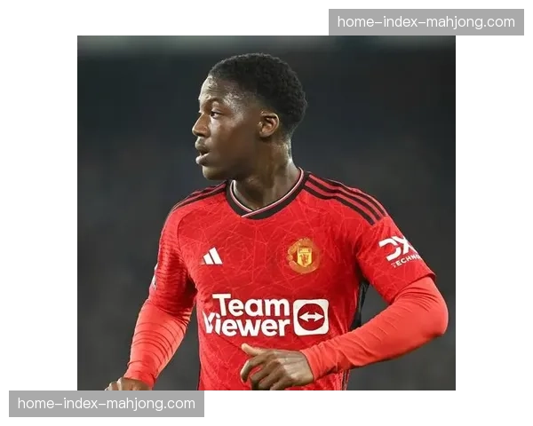 冬季转会窗的净投入排名,折射出英超在全球足球资本流动中的何种位置? 冬季转会窗的净投入排名,折射出英超在全球足球资本流动中的何种位置?